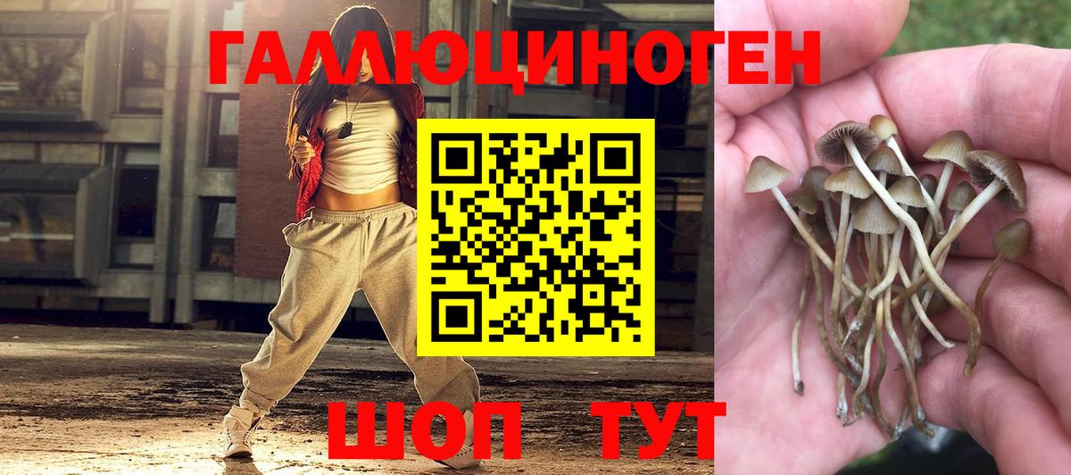Псилоцибиновые грибы Magic Shrooms Ковров