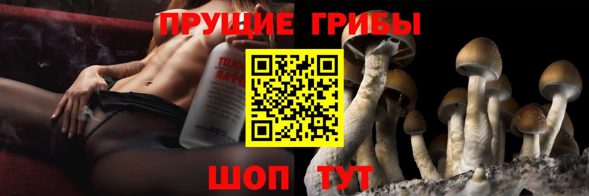 Галлюциногенные грибы Psilocybe  Вход с VPN  купить закладку  Галлюциногенные грибы мицелий  Ковров 